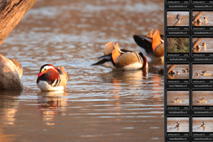 闪迪Extreme PRO 64GCF卡识别不了存储卡损坏数据恢复成功